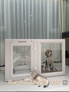 （分類：）位於 。 由 ckxyz 提交（商品編號 1446332506，圖片 1）。簡介： 。