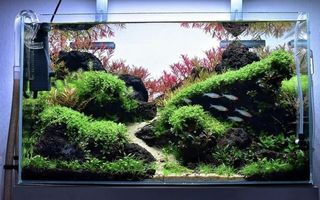 (Category: ) located in . Submitted by ascape (Listing ID 1446171089, Image 1). Description: .