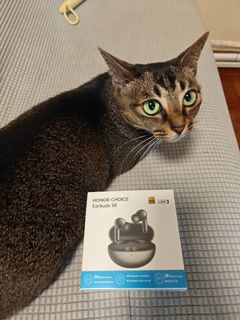 （分類：）位於 。 由 milkteacoke 提交（商品編號 1446258712，圖片 1）。簡介： 。