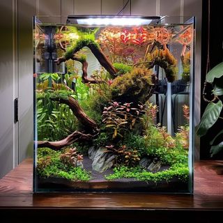 (Category: ) located in . Submitted by ascape (Listing ID 1446182639, Image 1). Description: .