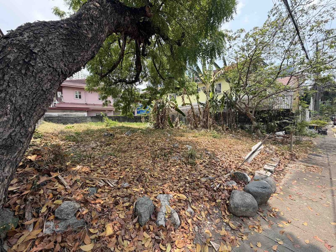 (Category: ) located in . Submitted by brokerhanstaneo_09178038728 (Listing ID 1446268196, Image 1). Description: .