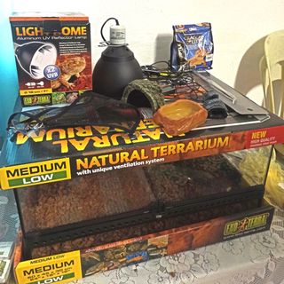 (Category: ) located in . Submitted by dell797 (Listing ID 1446273184, Image 1). Description: .