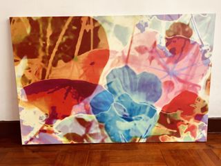 （分類：）位於 。 由 calella 提交（商品編號 1446189853，圖片 1）。簡介： 。