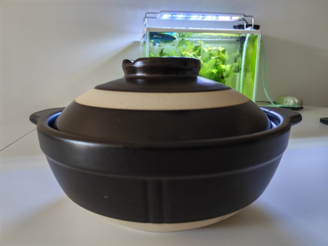 Clay Pot with Lid493538021570007042
