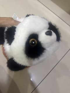 (Category: ) located in . Submitted by cjmam (Listing ID 1446267935, Image 1). Description: .