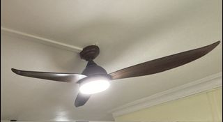 (Category: ) located in . Submitted by 1peace (Listing ID 1446212129, Image 1). Description: .