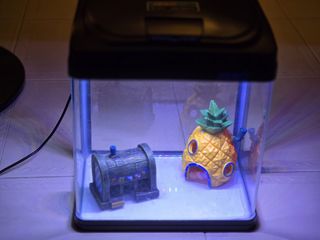 (Category: ) located in . Submitted by _Dragon_ (Listing ID 1446173197, Image 1). Description: .