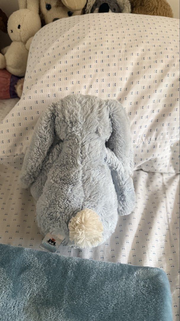 (Jellycat) Medium Bashful Blue Bunny (Category: Plushies & Soft Toys) located in Antipolo. Submitted by yanauy (Listing ID 1446180624, Image 2). Description: Bilhin niyo na please, naaalala ko ex ko dito 🫩 Purchased from Toys R Us Powerplant Mall in 2024. From non-smoking home. .
