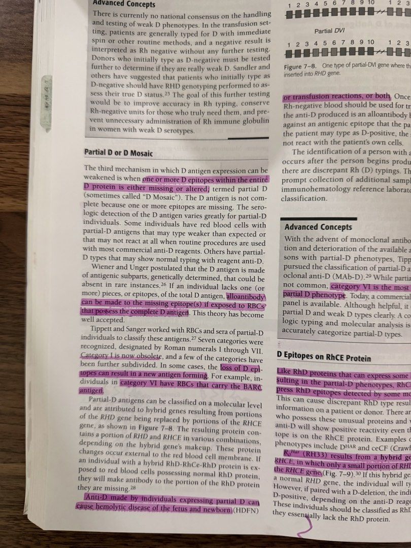 Modern Blood Banking & Transfusion Practices (7th Ed) Harmening (Category: Textbooks) located in Davao. Submitted by louisedom (Listing ID 1446262140, Image 2). Description: - Minimal Highlights - Removable tabs for chapters - No damage - Plastic Cover.