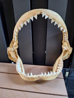 (Category: ) located in . Submitted by divespyder67 (Listing ID 1446213195, Image 1). Description: .
