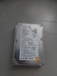 Seagate 80GB SATA Hard Drive506270752136898560