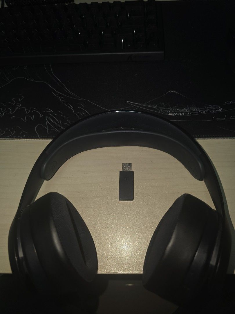 Sony Pulse Headset494775537322567681