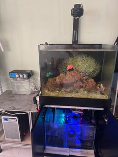 (Category: ) located in . Submitted by alvin1991lim (Listing ID 1446357288, Image 1). Description: .
