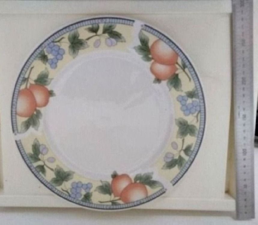 5 Dinner Plates494839238733998083