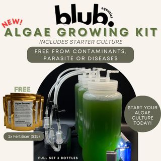 (Category: ) located in . Submitted by BlubAquatics (Listing ID 1446357770, Image 1). Description: .