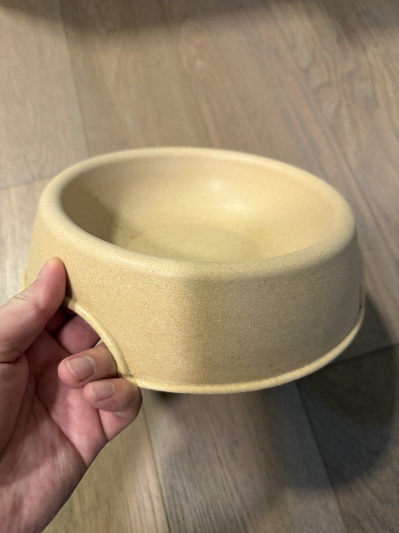 Beige Pet Bowl494837725796116481