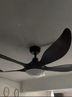 (Category: ) located in . Submitted by rajaniran (Listing ID 1446446664, Image 1). Description: .