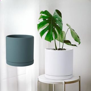 (Category: ) located in . Submitted by steadymart_sg (Listing ID 1446427691, Image 1). Description: .