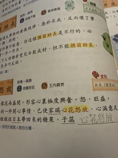 （分類：）位於 。 由 llmum 提交（商品編號 1446400689，圖片 1）。簡介： 。
