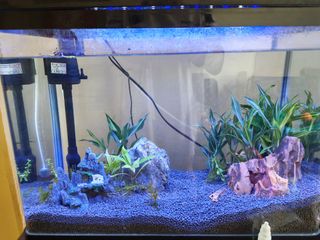 (Category: ) located in . Submitted by ruiedolph (Listing ID 1446528192, Image 1). Description: .