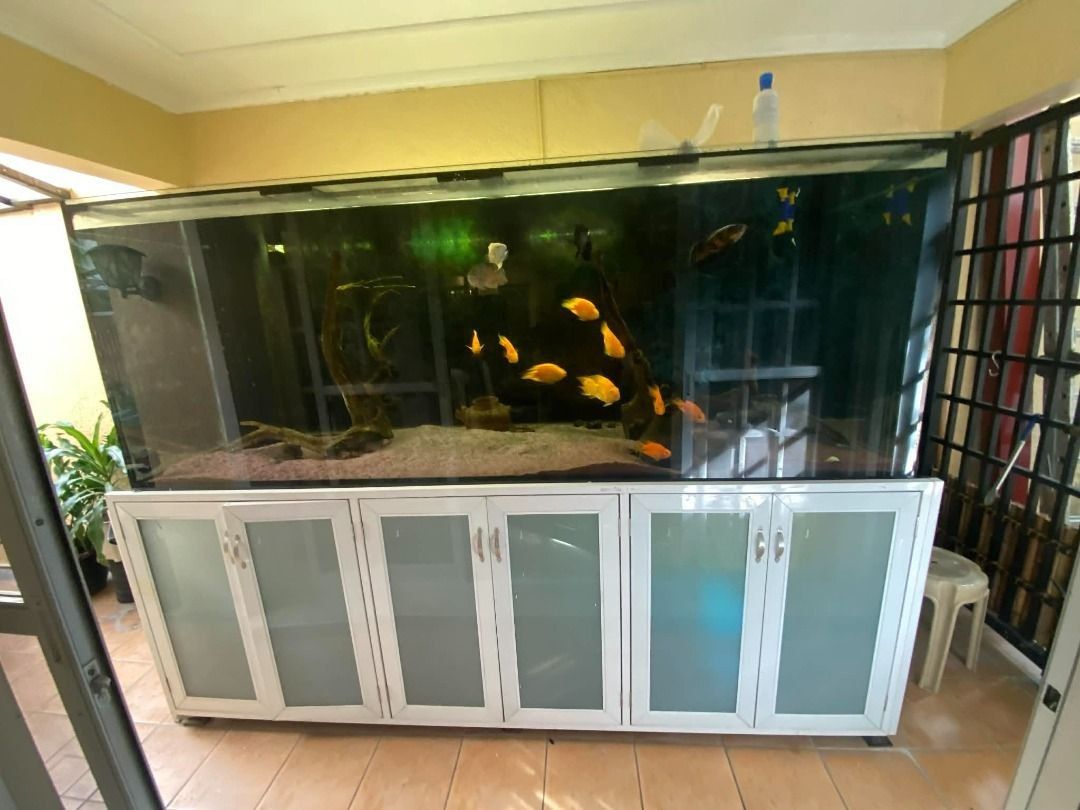 Large Aquarium with Cabinet Stand and Fish (Category: Homes & Other Pet Accessories) located in Makati City. Submitted by indigo28 (Listing ID 1446479456, Image 1). Description: Large Premium Aquarium Setup for Sale – Complete with Fish & Equipment Selling our large aquarium setup, including everything shown in the photos. Details: • Dimensions: 8 ft (L) × 3.2 ft (W) × 5.2 ft (H) • Comes with sturdy cabinet base with elegant frosted glass doors •