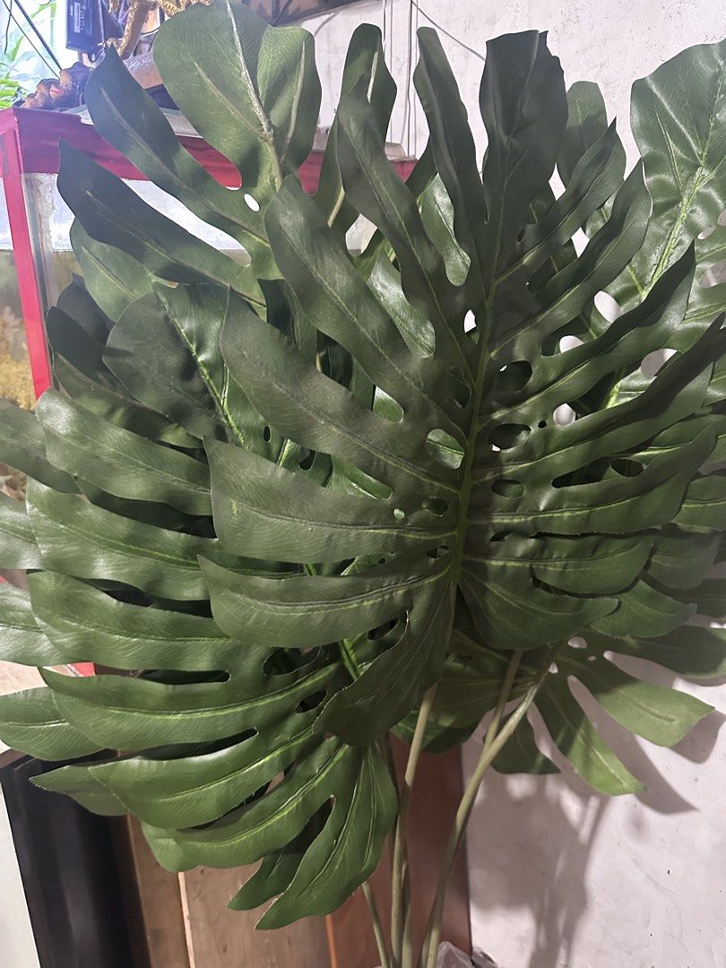 Lp- Japan potted artificial plant 57” (Category: Artificial Plants & Flowers) located in Antipolo. Submitted by queens.collections (Listing ID 1446387057, Image 3). Description: “Last price already” Skukl2262615c.