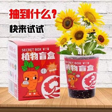 Mini Plants Blind Box494976535973089280