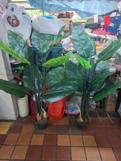 (Category: ) located in . Submitted by micel (Listing ID 1446412737, Image 1). Description: .