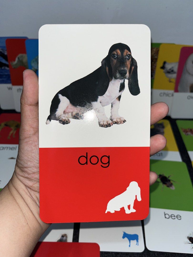 Priddy Books Jumbo Glossy Flash Cards (Category: Children's Books) located in Binan City. Submitted by family_buyandsell (Listing ID 1446398323, Image 3). Description: Complete Flash Cards and super good as new pa makikinis 🥰 Stickers lang ang used, but very useful! .