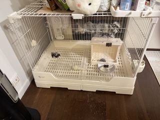 （分類：）位於 。 由 mglstorelimited 提交（商品編號 1446408527，圖片 1）。簡介： 。
