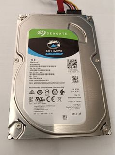 Seagate SkyHawk Surveillance 1TB HDD507116356748584960