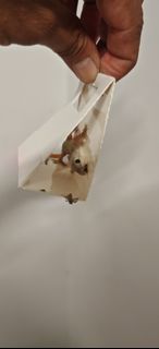 (Category: ) located in . Submitted by home_pest_specialist (Listing ID 1446368735, Image 1). Description: .