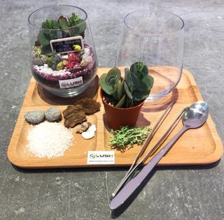 (Category: ) located in . Submitted by lushglassdoor (Listing ID 1446407725, Image 1). Description: .