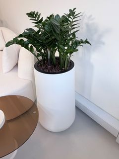 (Category: ) located in . Submitted by kelvin_goh (Listing ID 1446367412, Image 1). Description: .