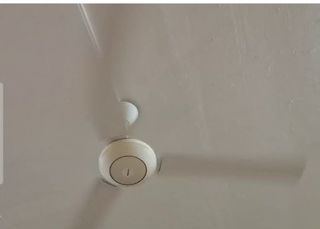 (Category: ) located in . Submitted by snowhill (Listing ID 1446389311, Image 1). Description: .