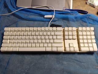 (Category: ) located in . Submitted by r0nb1nt5cat5co (Listing ID 1446543584, Image 1). Description: .