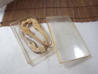 由 daddycollection (刊登 ID 1446607232，圖片 1) 提交，位於 的 (類別：)，說明：。