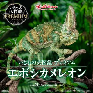 （分類：）位於 。 由 ochiu22 提交（商品編號 1446567320，圖片 1）。簡介： 。