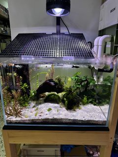 (Category: ) located in . Submitted by chai3331 (Listing ID 1446651773, Image 1). Description: .
