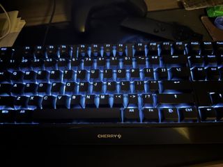 Cherry Keyboard mx1.0 RGB Blue Switch508333369045831680
