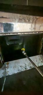 (Category: ) located in . Submitted by home_pest_specialist (Listing ID 1446657118, Image 1). Description: .