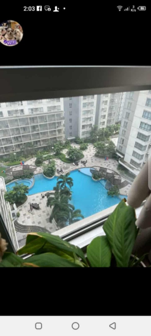 (Category: ) located in . Submitted by gricsanti8888 (Listing ID 1446539945, Image 1). Description: .