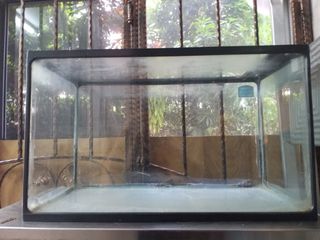 (Category: ) located in . Submitted by petstudio77 (Listing ID 1446575889, Image 1). Description: .