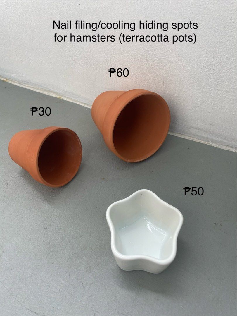 Hamster Accessories (Category: Homes & Other Pet Accessories) located in Manila. Submitted by hellonuggy (Listing ID 1446611684, Image 2). Description: Cute Pre-Loved Hamster Accessories! - All good quality/hamster safe 🤍 - Good as new! (Some never used) - Designed for hamster enrichment/safety Take all (discounted).