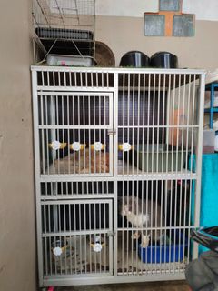 (Kategori: ) berada di . Dikirim oleh pakaiann.ku (ID iklan 1446572875, Gambar 1). Deskripsi: .
