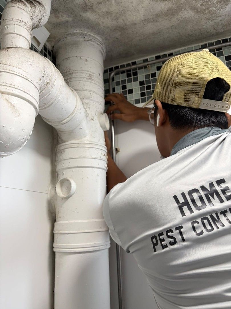 Lizard Control (Category: Pest Control Supplies) located in Singapore. Submitted by home_pest_specialist (Listing ID 1446655255, Image 1). Description: Our service includes: Thorough inspection of the premises Identify lizard hiding spots, cracks & crevices Placement of lizard traps Monitoring & treatment recommendations Suitable for HDB, condo, landed house & office.