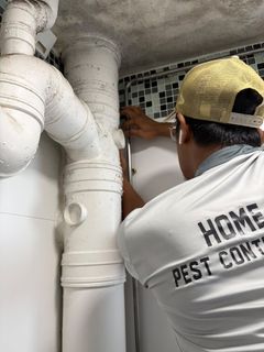 (Category: ) located in . Submitted by home_pest_specialist (Listing ID 1446655255, Image 1). Description: .