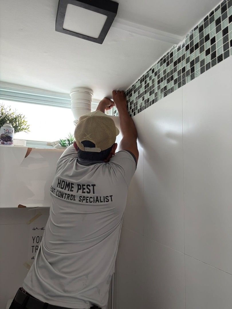 Lizard Control (Category: Pest Control Supplies) located in Singapore. Submitted by home_pest_specialist (Listing ID 1446655255, Image 3). Description: Our service includes: Thorough inspection of the premises Identify lizard hiding spots, cracks & crevices Placement of lizard traps Monitoring & treatment recommendations Suitable for HDB, condo, landed house & office.