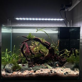 (Category: ) located in . Submitted by mdfrsh (Listing ID 1445217417, Image 1). Description: .