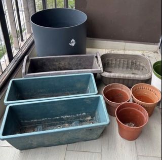 (Category: ) located in . Submitted by 5xcwb (Listing ID 1446542433, Image 1). Description: .